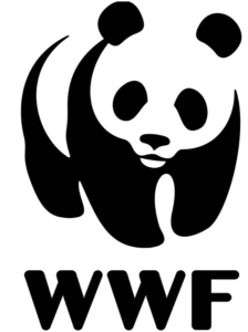 WhatsApp Image 2025-12-10 at 07.34.07_2af75041 (1)