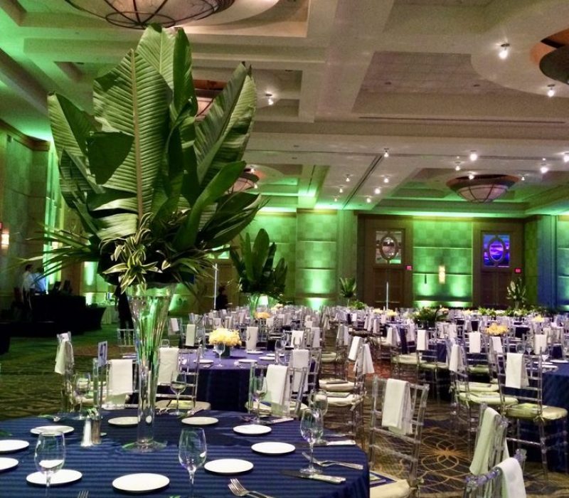 Corporate and Special Events _ Petal's Edge